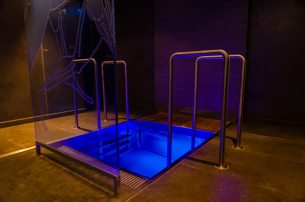 Luxury plunge pool with two stainlees steel ladders