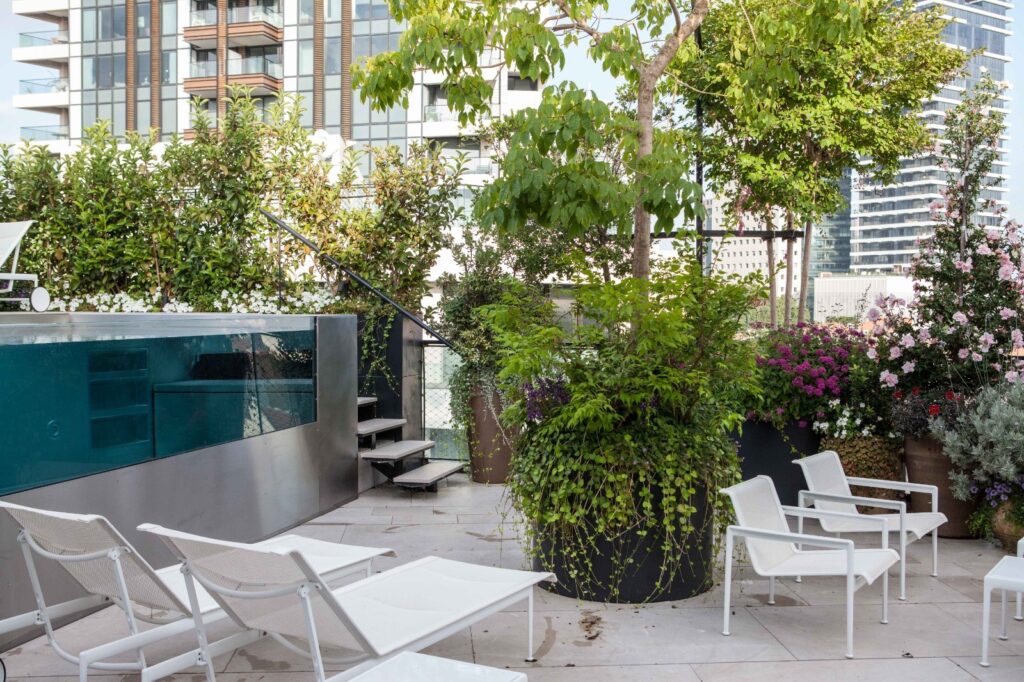 Extraordinary pool on the roof